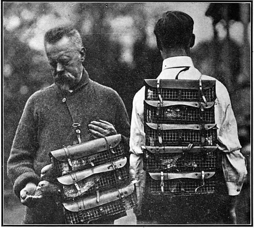 August De Corte: How Uncle Sam Stiffed An Innovative Pigeoneer During World War&nbsp;One